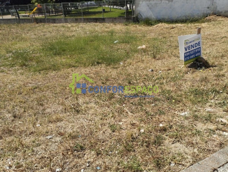 Terreno para Venda em Castelo Branco Foto 3