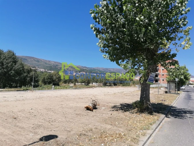 Terreno para Venda em Tortosendo Foto 15