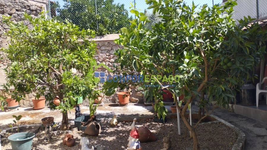 Moradia T4 para Venda em Idanha-A-Nova e Alcafozes Foto 13