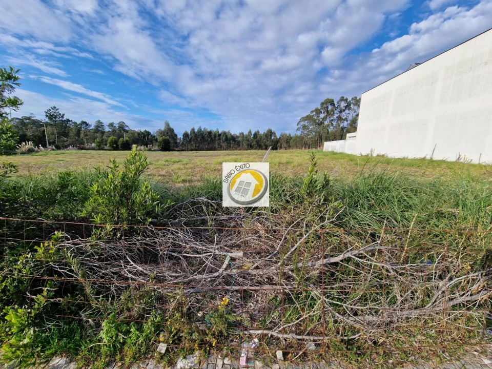 Terreno para Venda em Silvalde Foto 3
