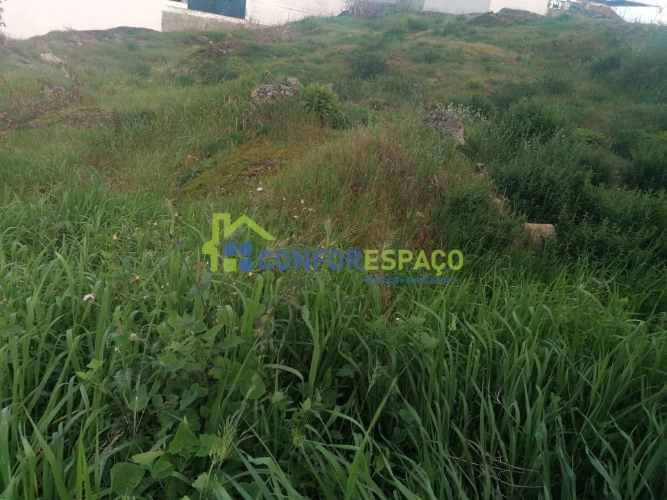Terreno para Venda em Castelo Branco Foto 11