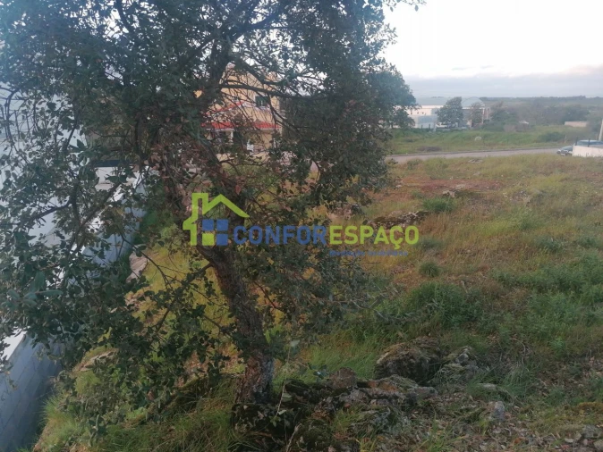 Terreno para Venda em Castelo Branco Foto 5