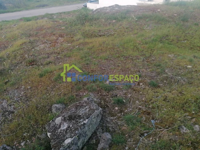 Terreno para Venda em Castelo Branco Foto 8