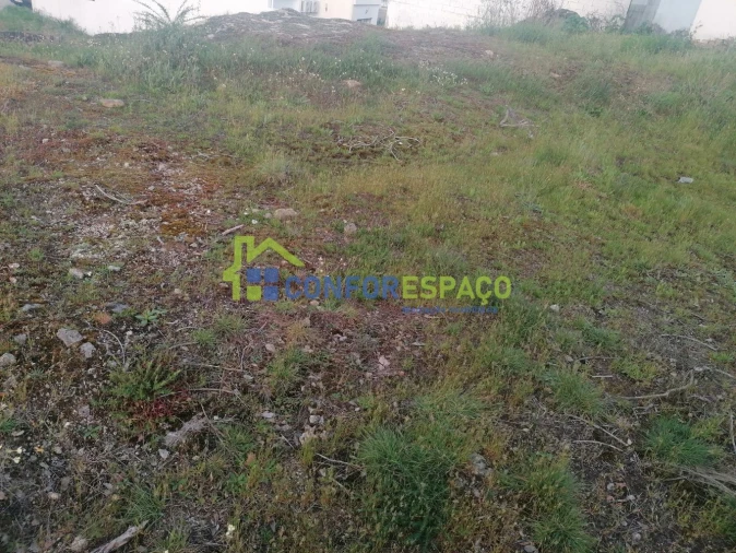 Terreno para Venda em Castelo Branco Foto 3