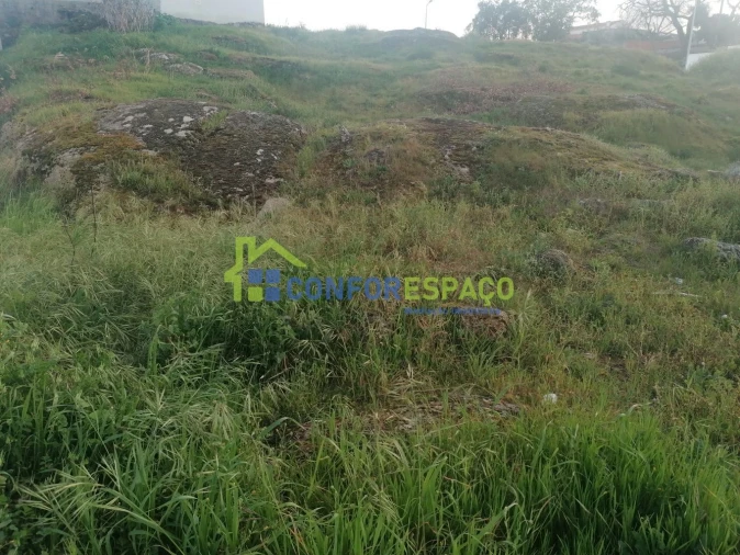 Terreno para Venda em Castelo Branco Foto 9