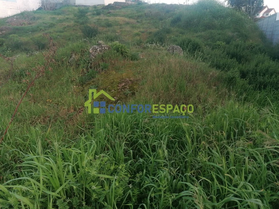 Terreno para Venda em Castelo Branco Foto 12