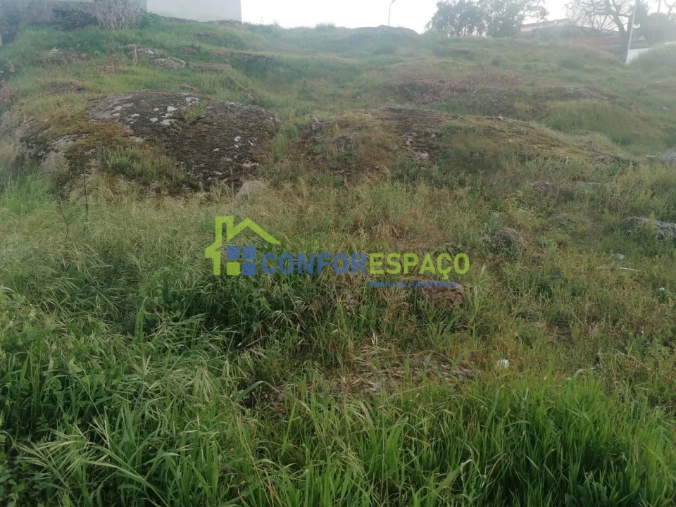 Terreno para Venda em Castelo Branco Foto 9