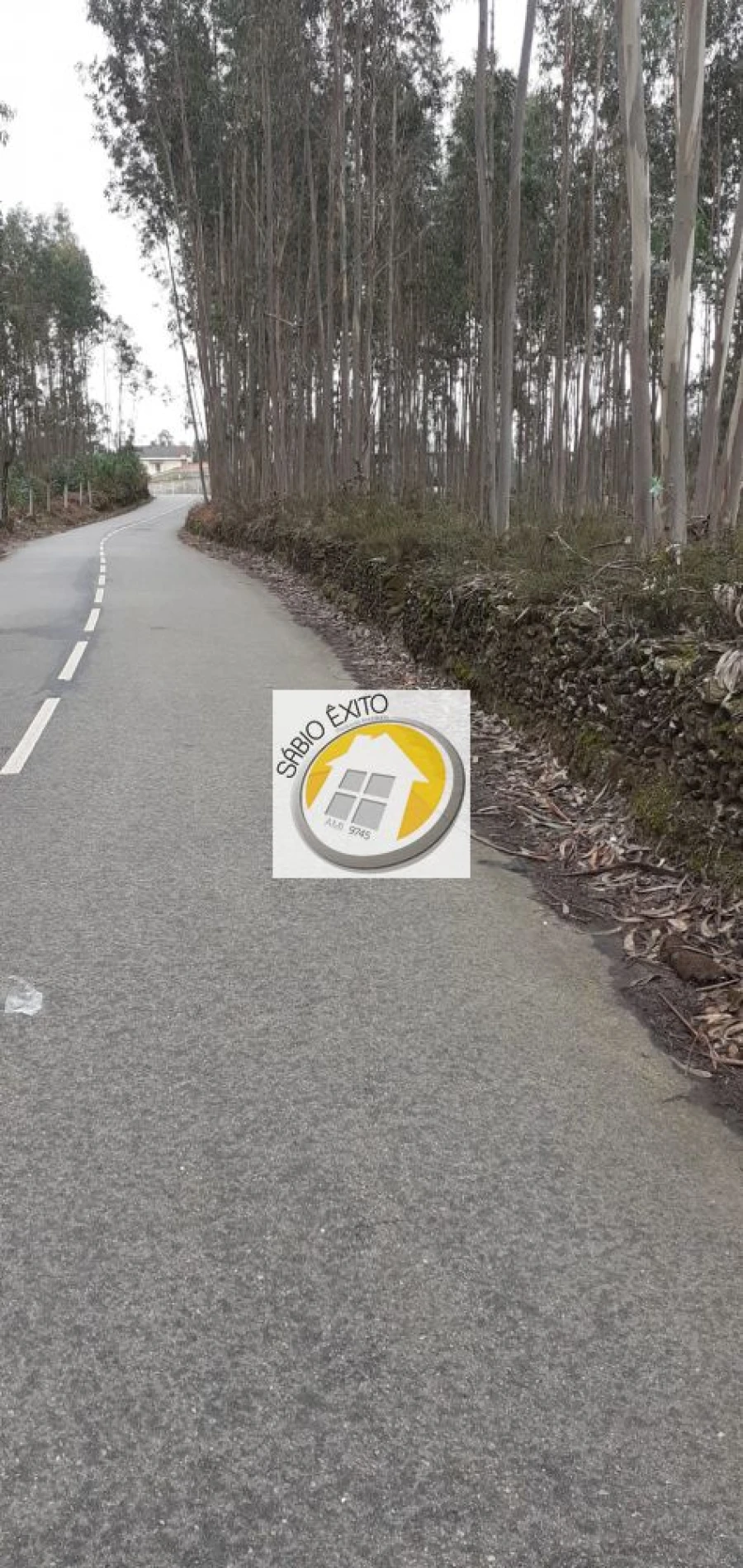 Terreno para Venda em Canedo, Vale e Vila Maior Foto 4