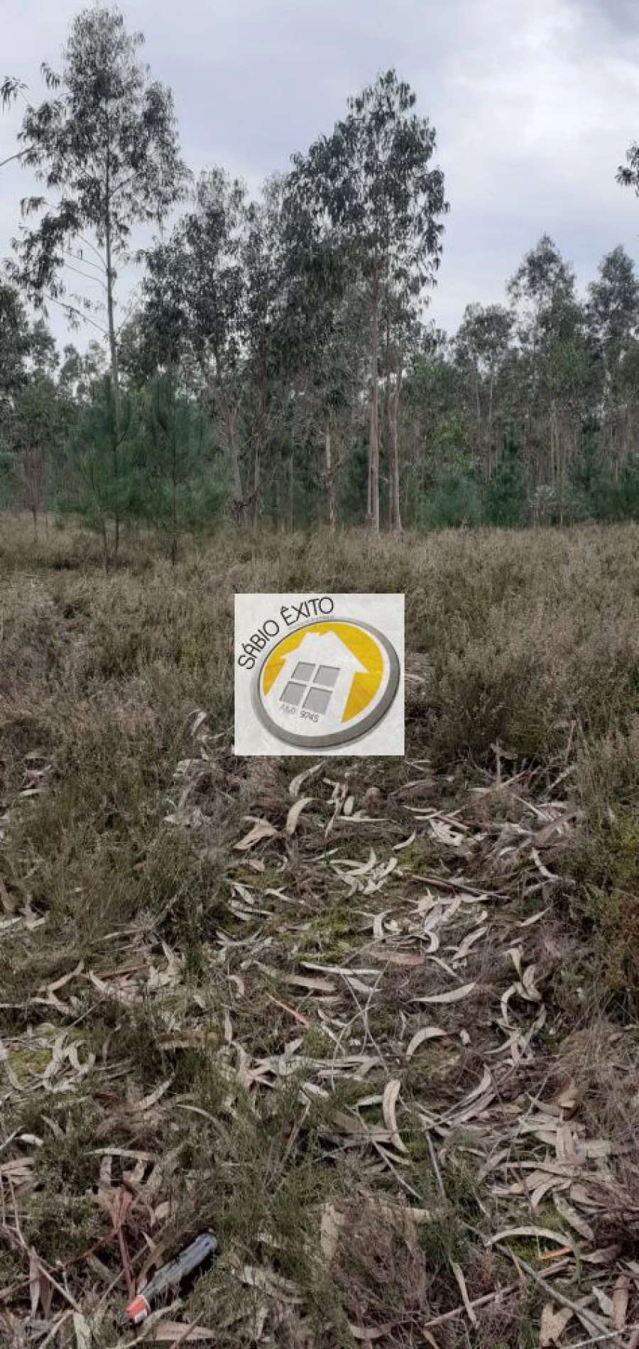 Terreno para Venda em Canedo, Vale e Vila Maior Foto 3