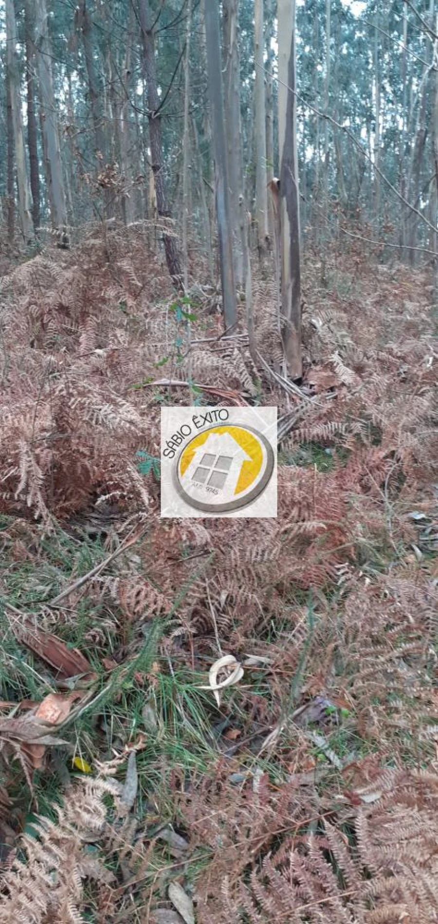 Terreno para Venda em Sandim, Olival, Lever e Crestuma Foto 17