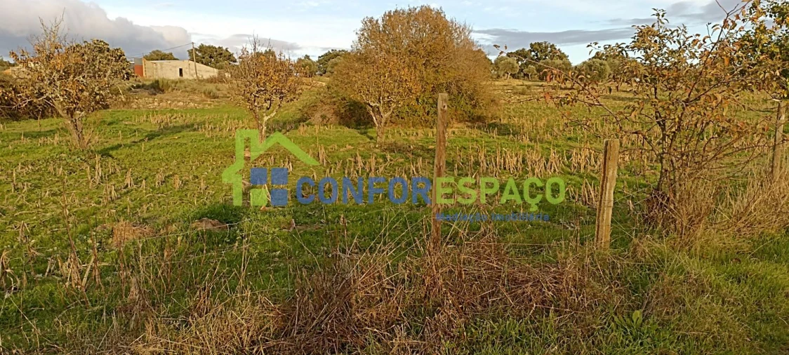 Quinta T0 para Venda em Póvoa de Rio de Moinhos e Cafede Foto 17