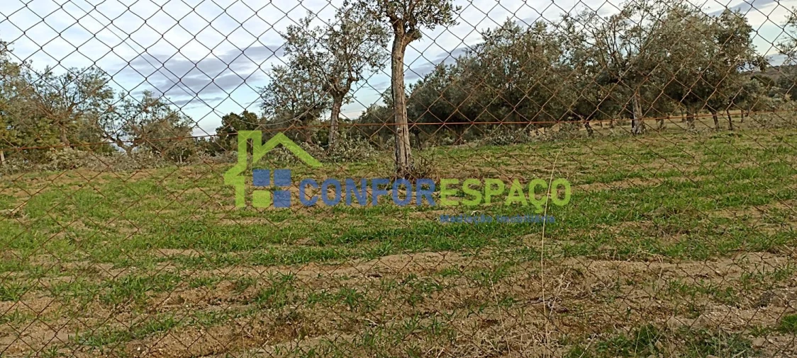 Quinta T0 para Venda em Póvoa de Rio de Moinhos e Cafede Foto 13