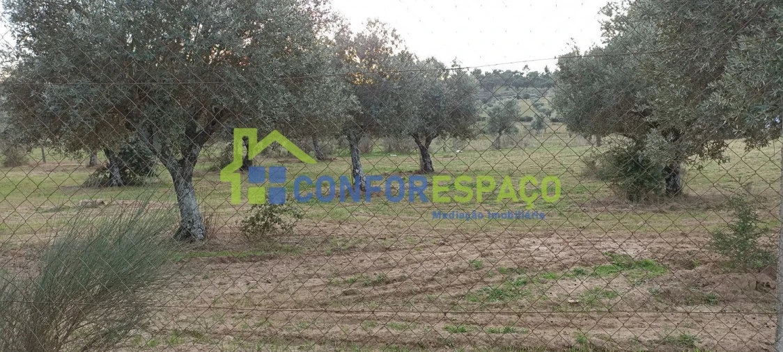 Quinta T0 para Venda em Póvoa de Rio de Moinhos e Cafede Foto 6