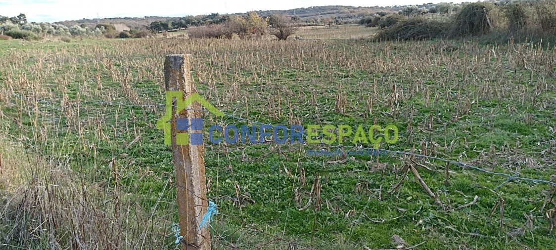 Quinta T0 para Venda em Póvoa de Rio de Moinhos e Cafede Foto 15