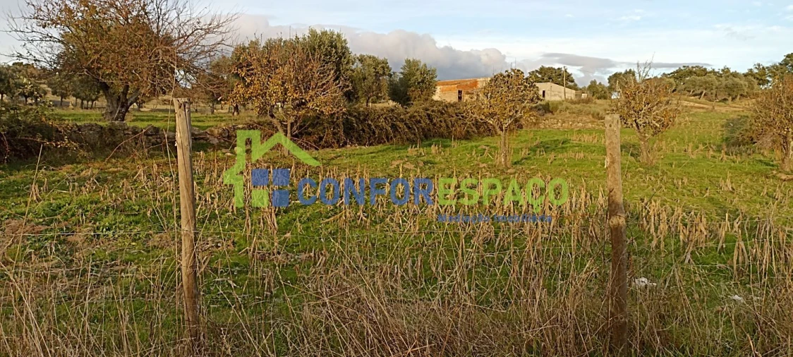 Quinta T0 para Venda em Póvoa de Rio de Moinhos e Cafede Foto 16