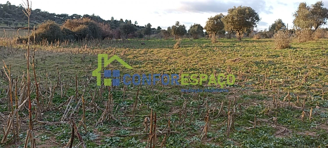 Quinta T0 para Venda em Póvoa de Rio de Moinhos e Cafede Foto 47