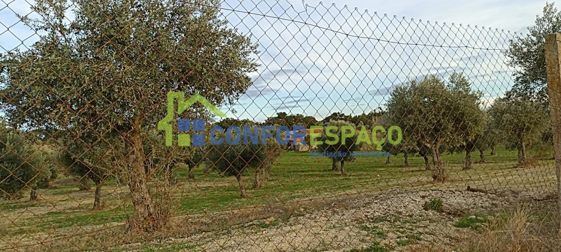 Quinta T0 para Venda em Póvoa de Rio de Moinhos e Cafede Foto 14
