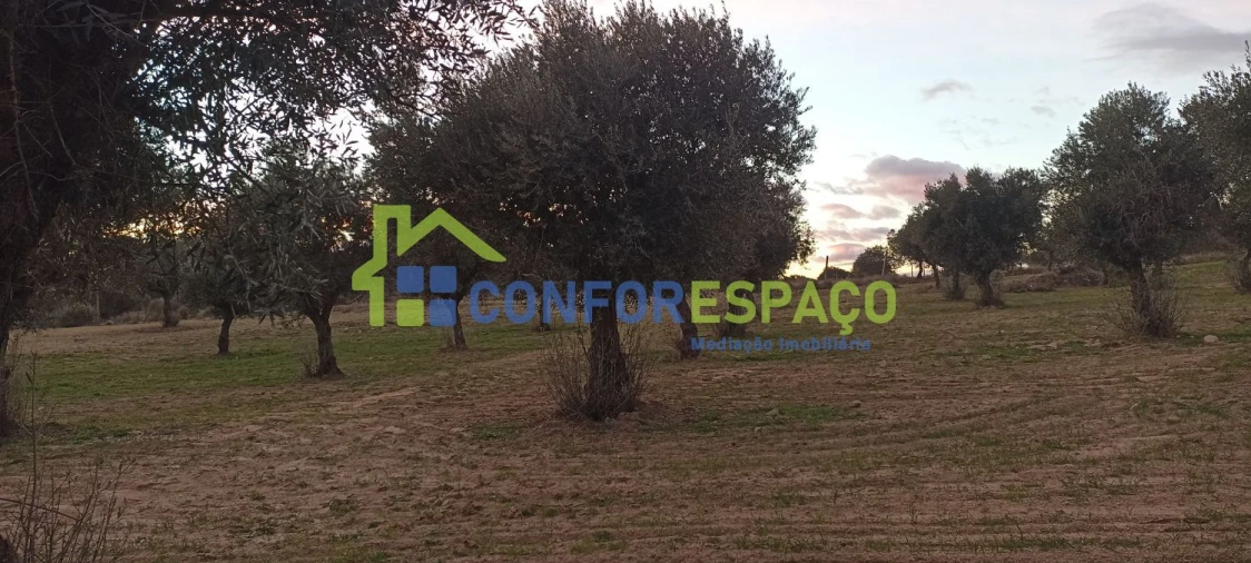 Quinta T0 para Venda em Póvoa de Rio de Moinhos e Cafede Foto 73