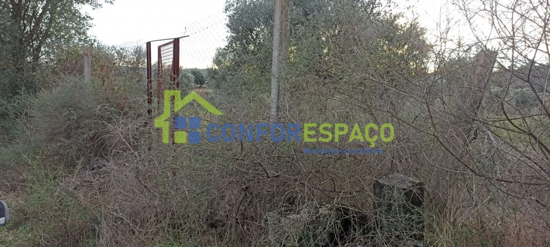 Quinta T0 para Venda em Póvoa de Rio de Moinhos e Cafede Foto 9