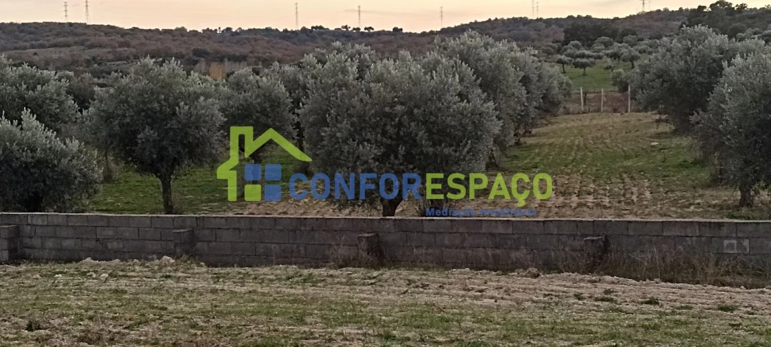 Quinta T0 para Venda em Póvoa de Rio de Moinhos e Cafede Foto 71