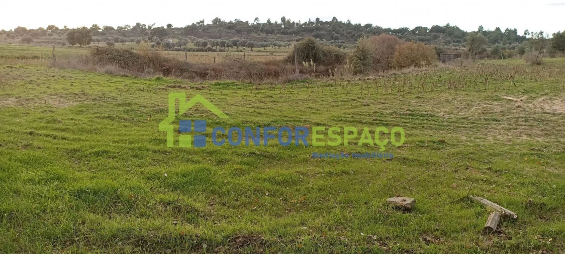 Quinta T0 para Venda em Póvoa de Rio de Moinhos e Cafede Foto 10