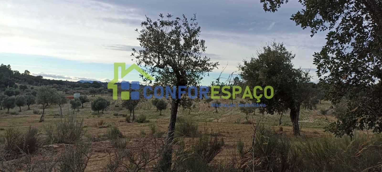 Quinta T0 para Venda em Póvoa de Rio de Moinhos e Cafede Foto 4