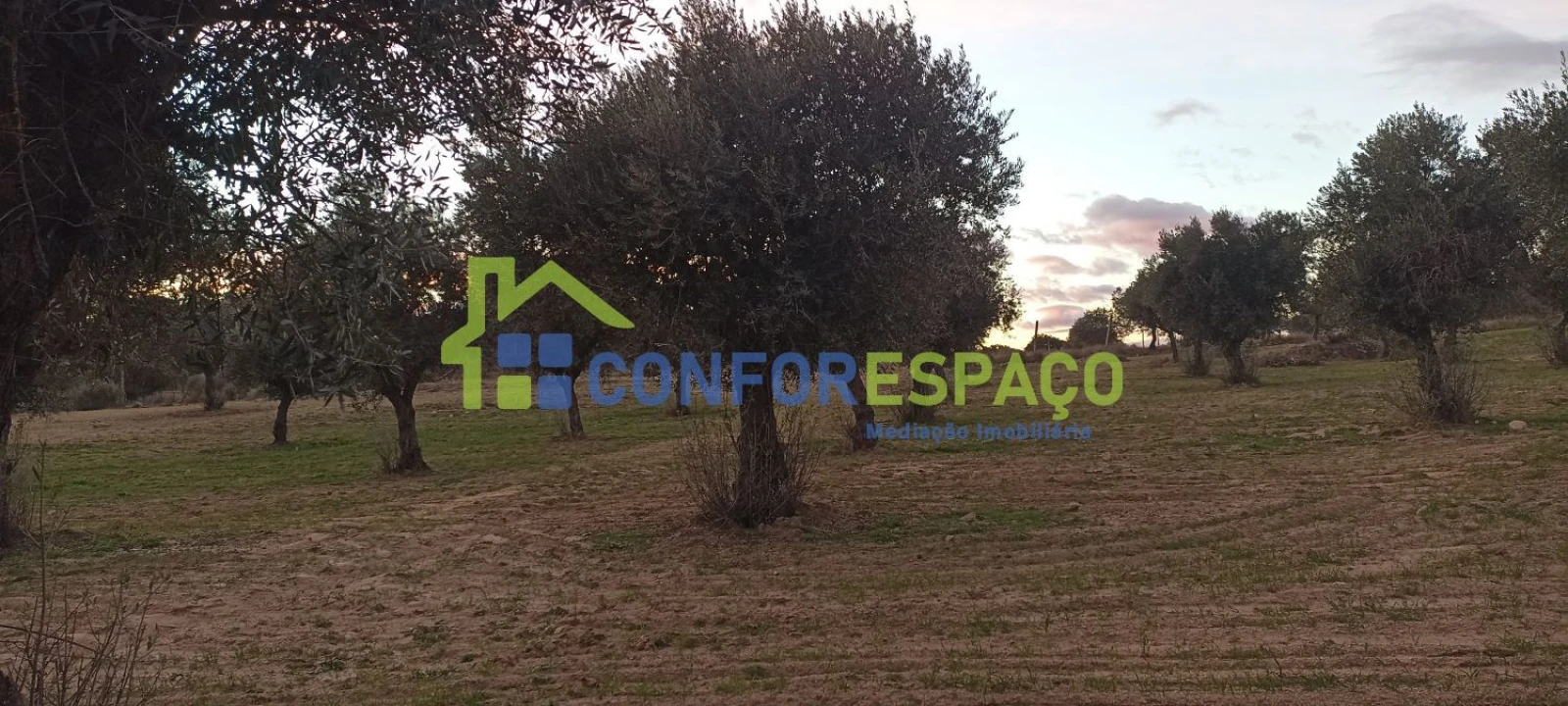 Quinta T0 para Venda em Póvoa de Rio de Moinhos e Cafede Foto 73