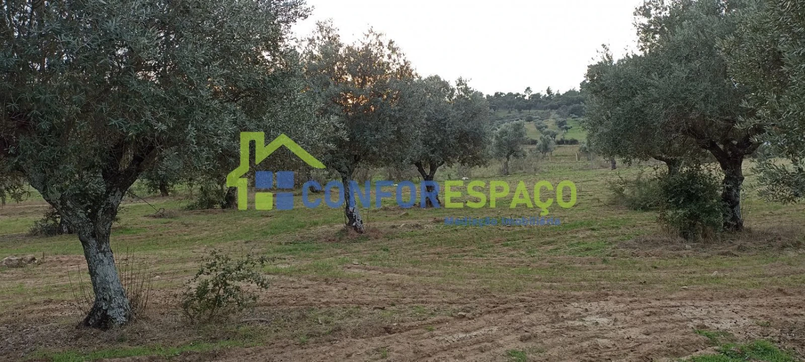 Quinta T0 para Venda em Póvoa de Rio de Moinhos e Cafede Foto 7