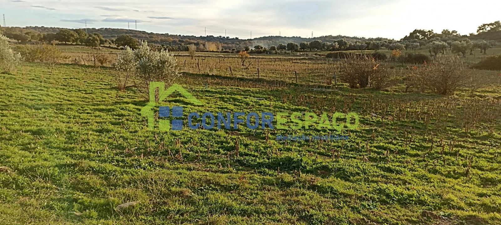 Quinta T0 para Venda em Póvoa de Rio de Moinhos e Cafede Foto 19