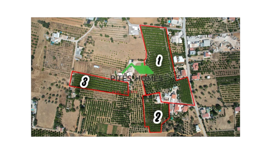 Moradia T9 para Venda em Conceição e Estoi Foto 2