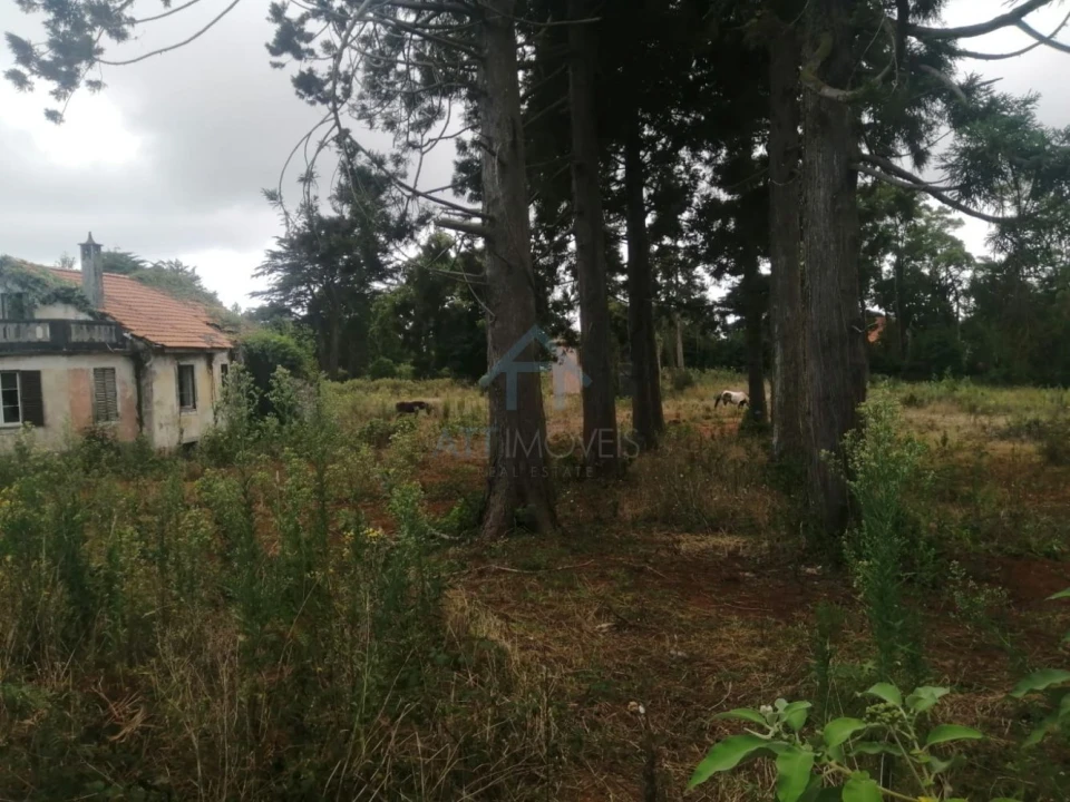 Quinta T0 para Venda em Santo Antonio da Serra Foto 5
