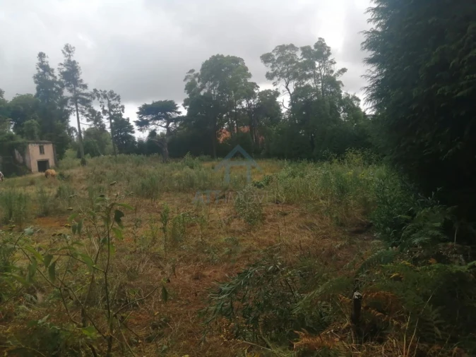 Quinta T0 para Venda em Santo Antonio da Serra Foto 7