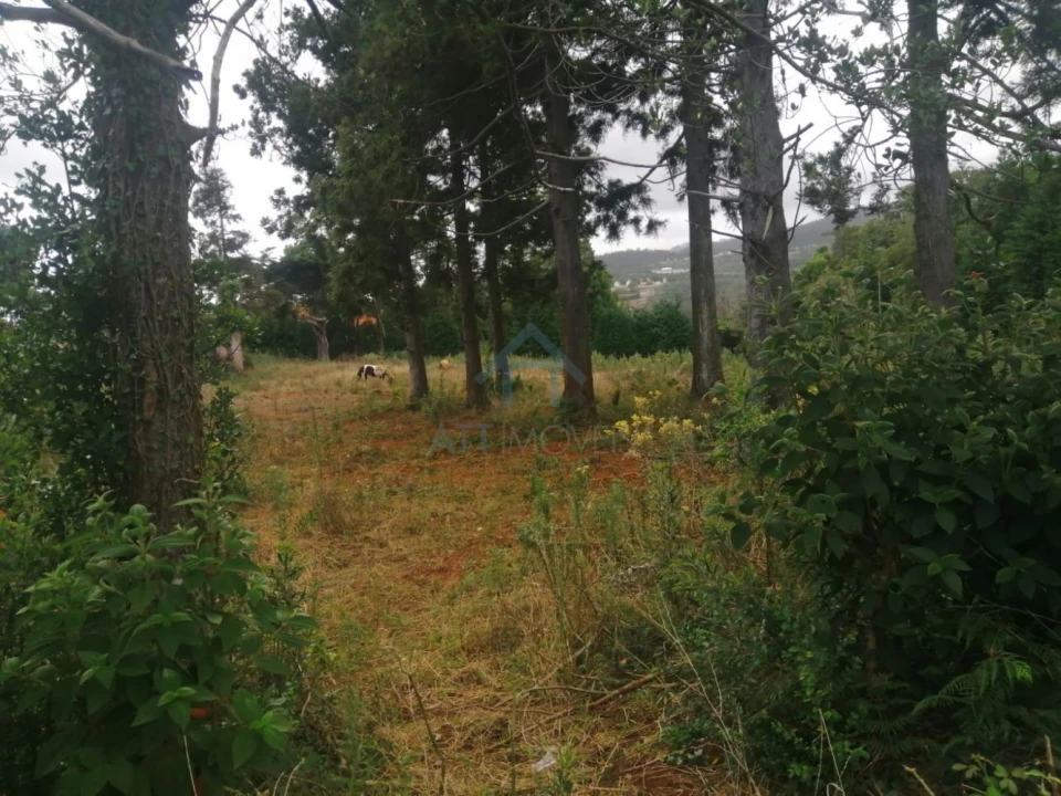 Quinta T0 para Venda em Santo Antonio da Serra Foto 2