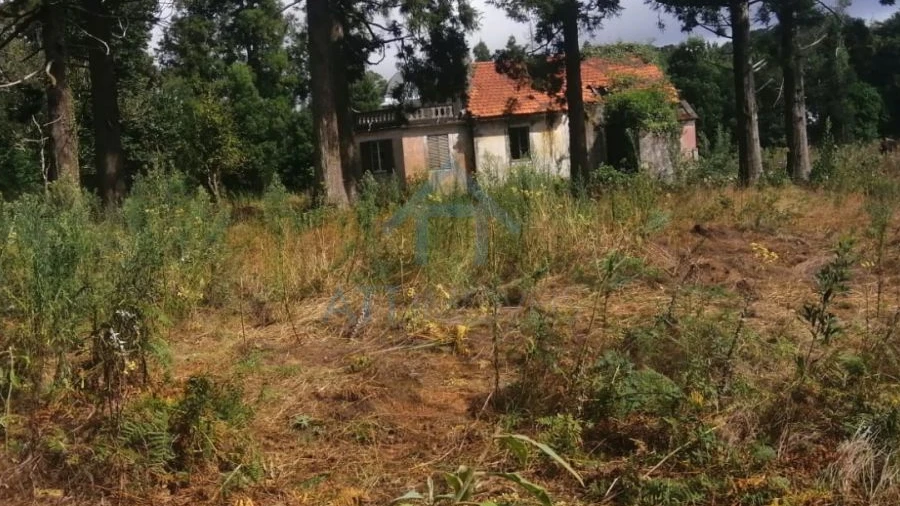 Quinta T0 para Venda em Santo Antonio da Serra