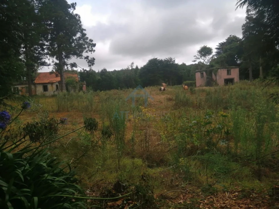 Quinta T0 para Venda em Santo Antonio da Serra Foto 4