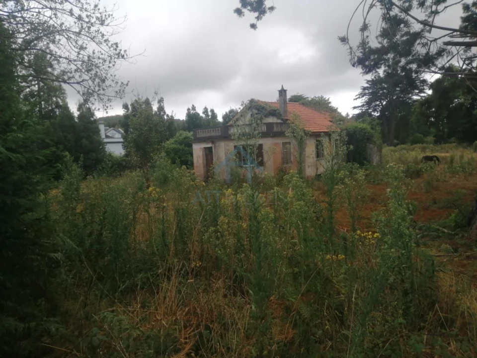 Quinta T0 para Venda em Santo Antonio da Serra Foto 3