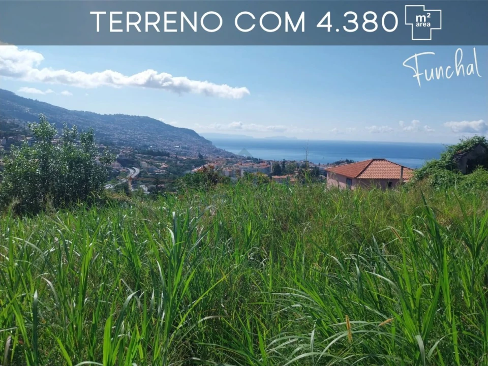 Terreno para Venda em Funchal (São Pedro) Foto 3
