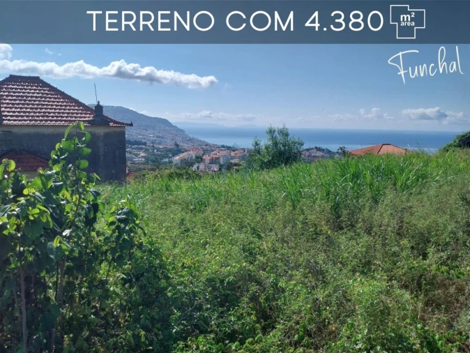 Terreno para Venda em Funchal (São Pedro) Foto 2