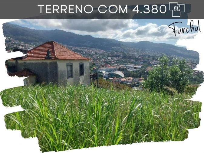 Terreno para Venda em Funchal (São Pedro)
