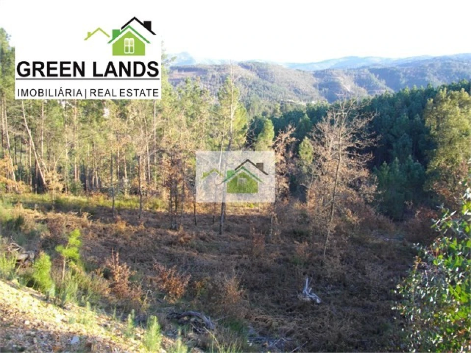 Terreno para Venda em Vila Cova de Alva e Anseriz Foto 4