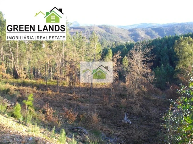 Terreno para Venda em Vila Cova de Alva e Anseriz Foto 4