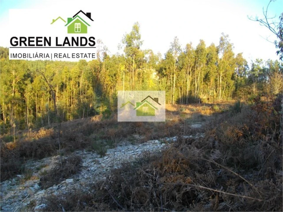 Terreno para Venda em Vila Cova de Alva e Anseriz Foto 5