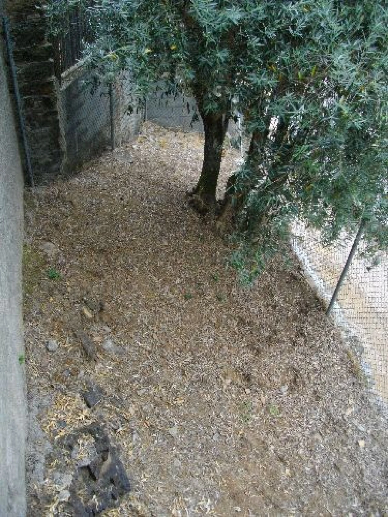 Moradia T4 para Venda em Arganil Foto 15