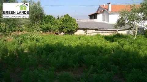Moradia T1 para Venda em Arganil