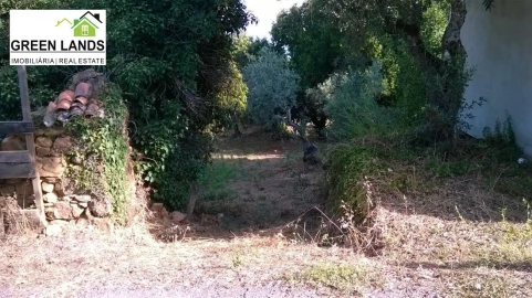 Moradia T1 para Venda em Arganil