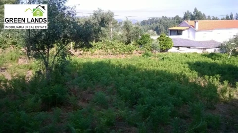 Moradia T1 para Venda em Arganil