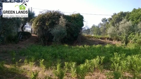 Moradia T1 para Venda em Arganil