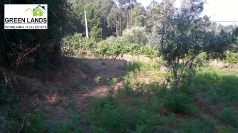 Moradia T1 para Venda em Arganil
