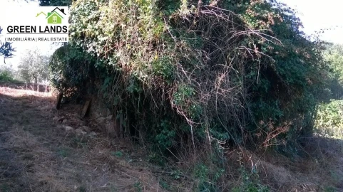 Moradia T1 para Venda em Arganil