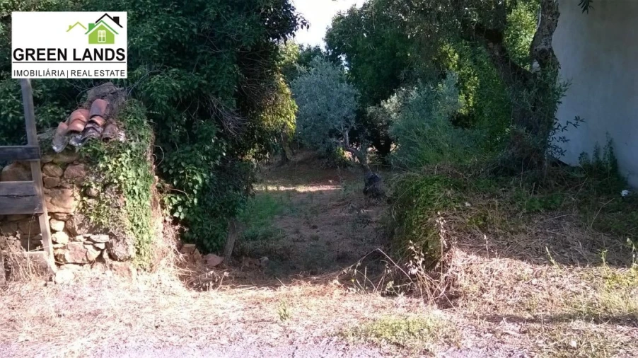 Moradia T1 para Venda em Arganil Foto 5